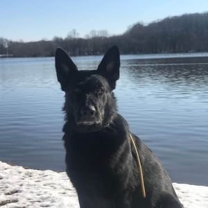 Meet your Posher, Denise